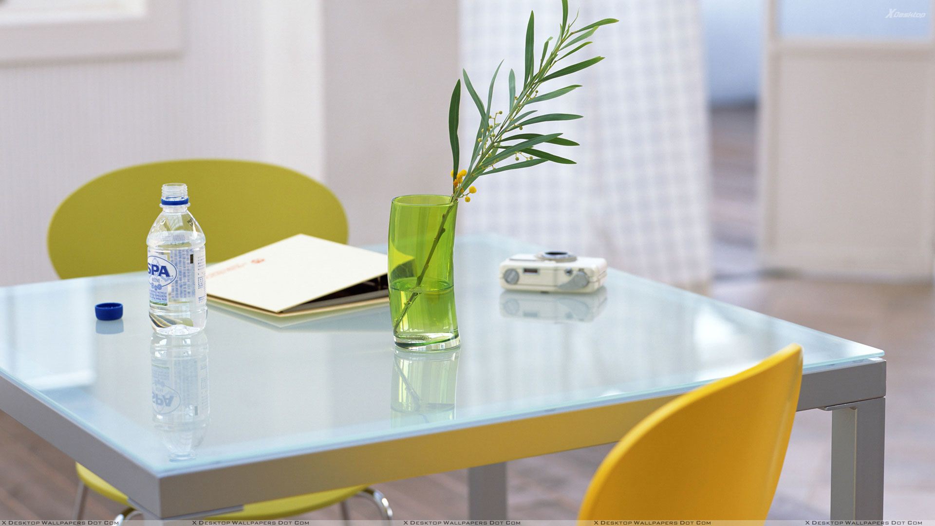 Flower Stick in Glass And Table Closeup